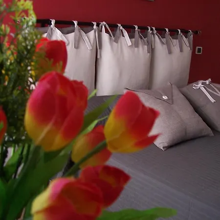 Bed & Breakfast Divina Řím